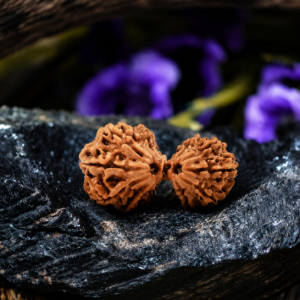 Natural Garbh Gauri Rudraksha (Nepal) with IGL Certificate