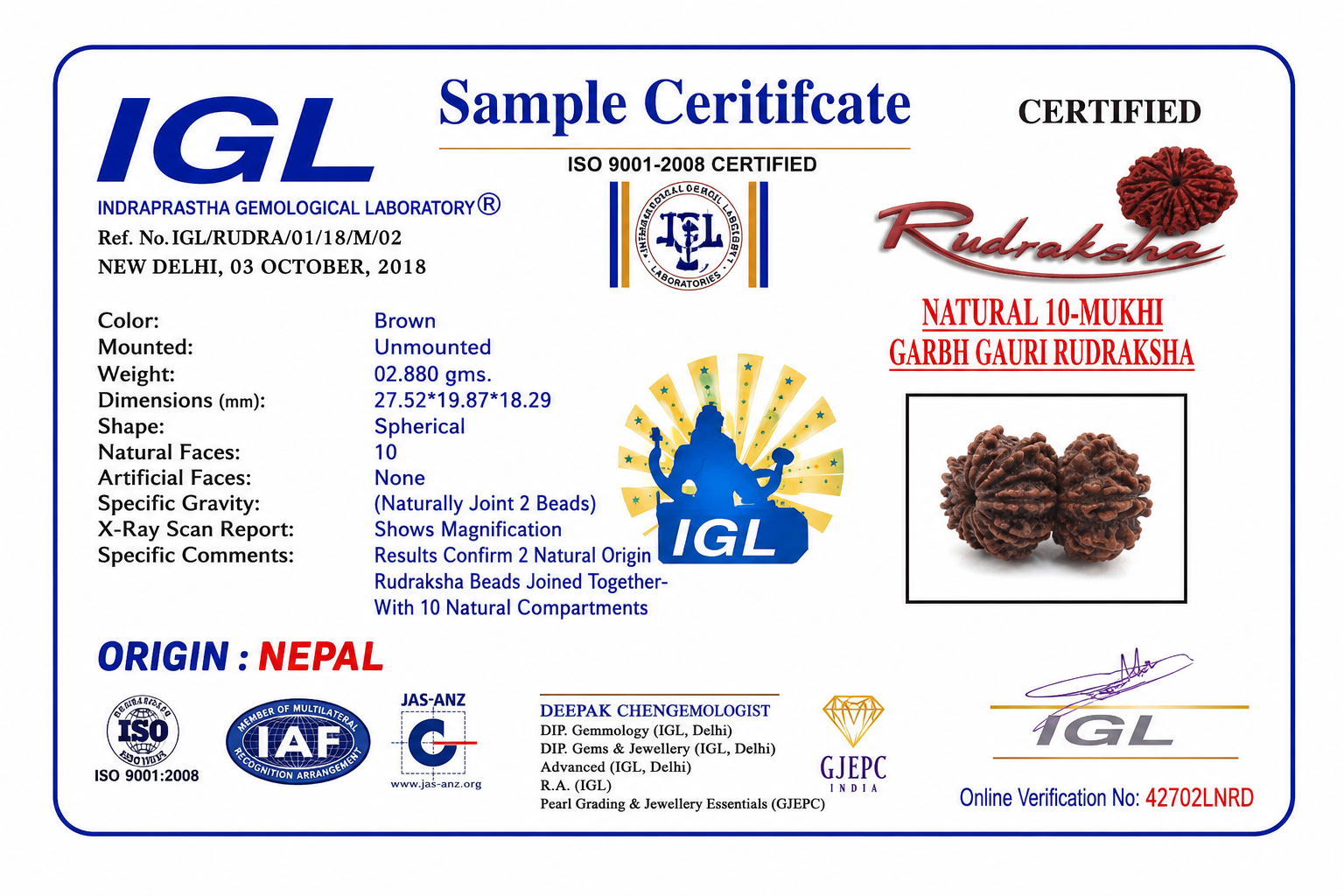 Natural Garbh Gauri Rudraksha (Nepal) with IGL Certificate - Image 4