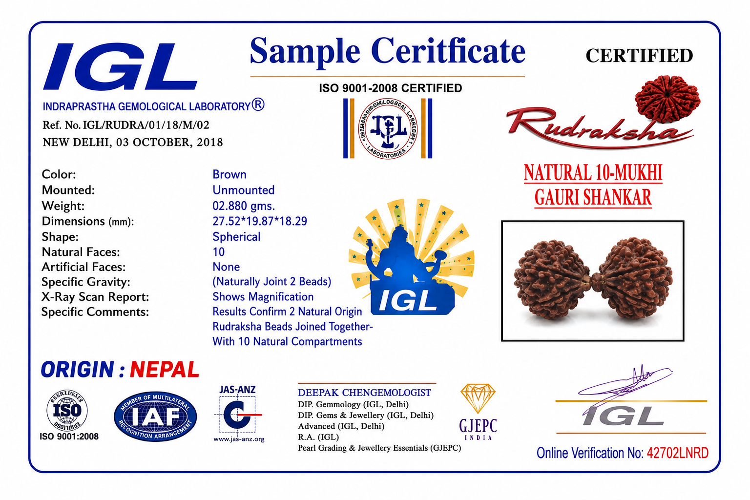 Gauri Shankar Rudraksha - Image 2