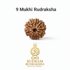 Natural 9 Mukhi Rudraksha (Nepali) with X-Ray Certificate