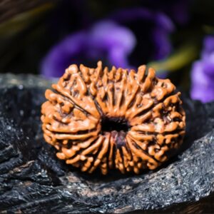 100% Authentic Nepal Origin 16 Mukhi Rudraksha