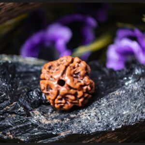 Natural 4 Mukhi Rudraksha (Nepali)
