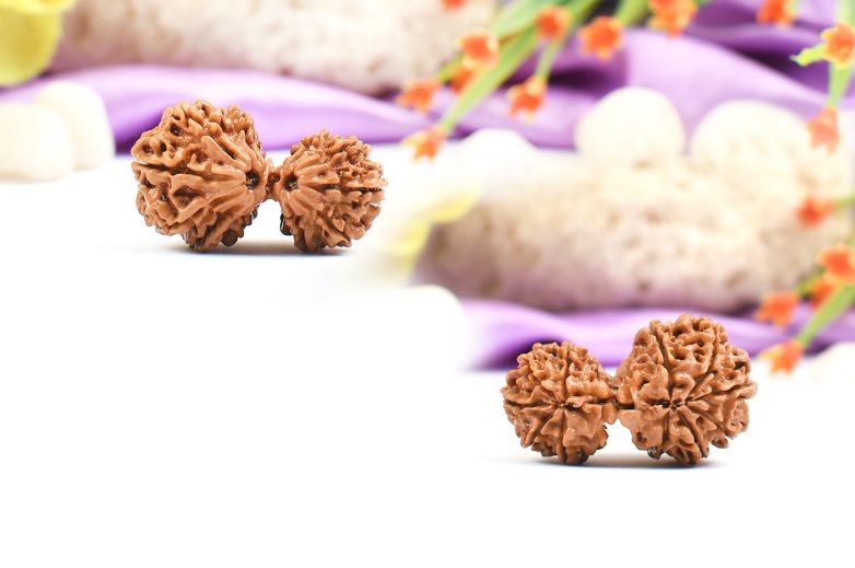 Natural Garbh Gauri Rudraksha (Nepal) with IGL Certificate - Image 2