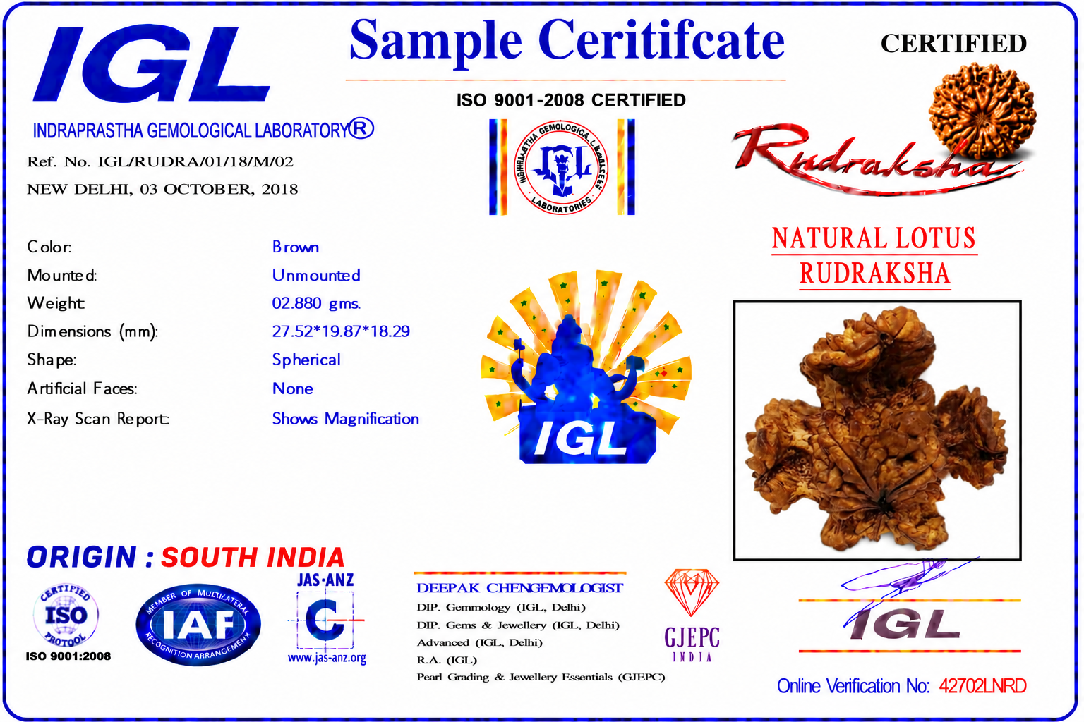 Natural Lotus Rudraksha (South India) - Image 3